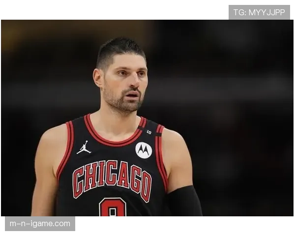 武切维奇化身篮板机器 再次刷新个人赛季新高