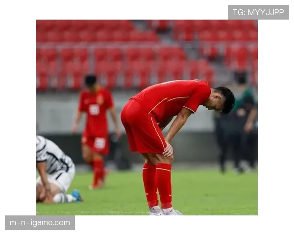 中国队FIFA积分稳步上升，实力增强引发广泛关注